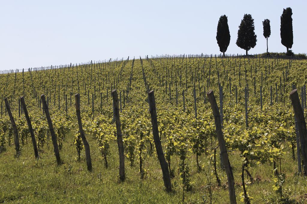 Le Buche Wine Resort&Spa Macciano Eksteriør bilde