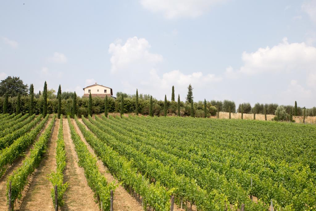 Le Buche Wine Resort&Spa Macciano Eksteriør bilde