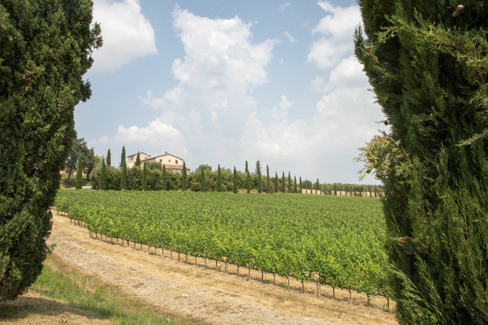 Le Buche Wine Resort&Spa Macciano Eksteriør bilde