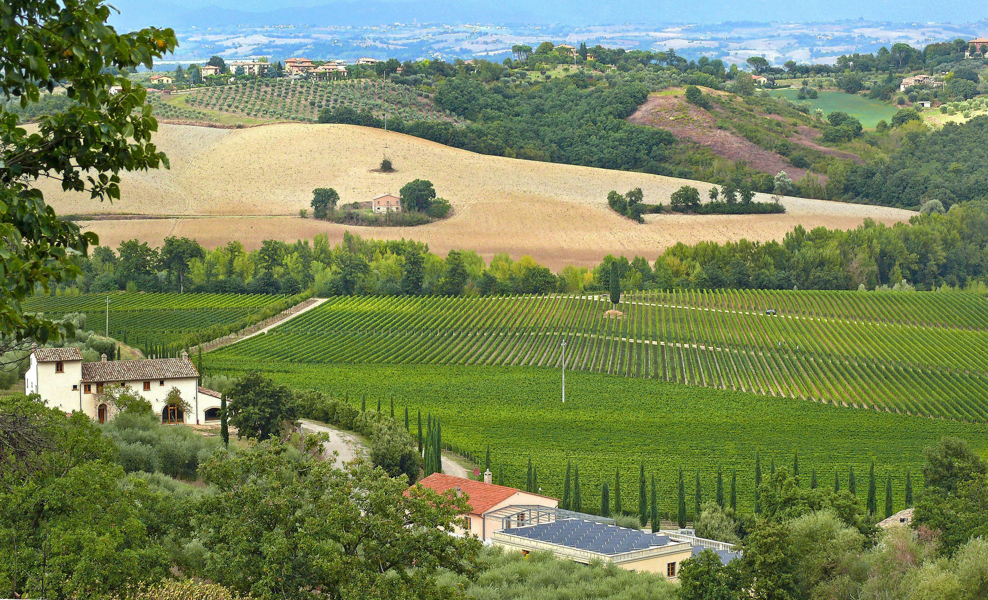 Le Buche Wine Resort&Spa Macciano Eksteriør bilde